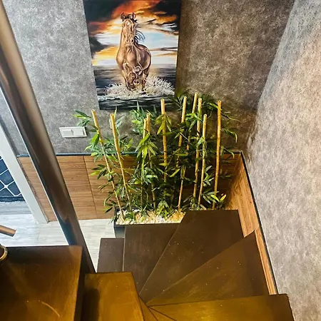 Royal Loft 4*